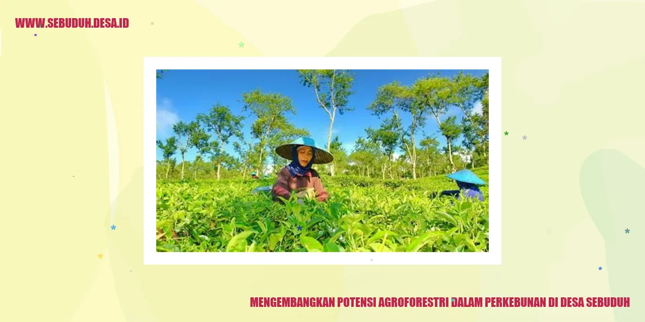 Mengembangkan Potensi Agroforestri dalam Perkebunan di Desa Sebuduh