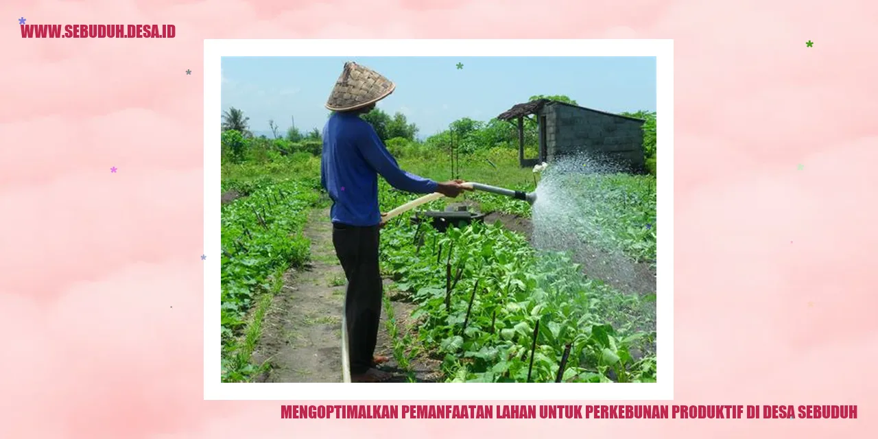 Lahan Pertanian di Desa Sebuduh