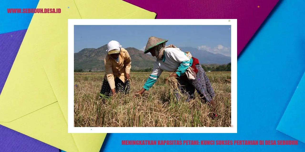 Petani di Desa Sebuduh