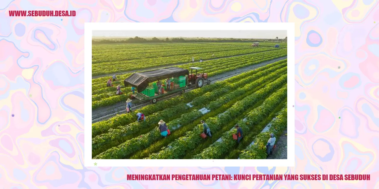 Rahasia Keberhasilan Petani di Desa Sebuduh: Cerdas dalam Pertanian!
