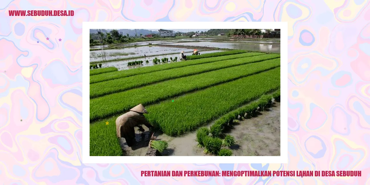 Gambar Pertanian dan Perkebunan: Mengoptimalkan Potensi Lahan di Desa Sebuduh