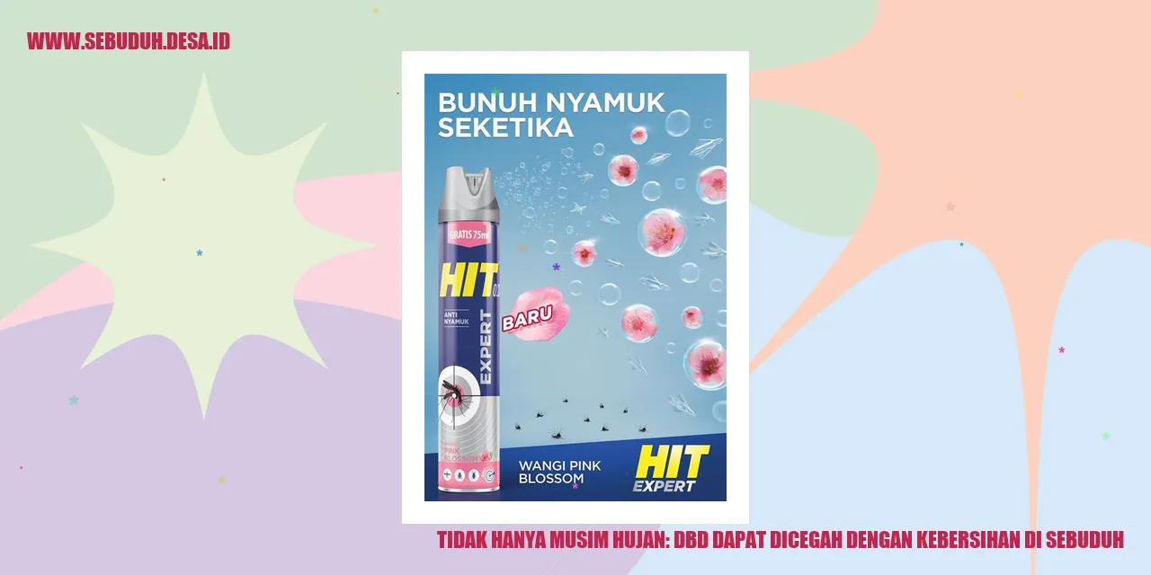 Tidak Hanya Musim Hujan: DBD Dapat Dicegah dengan Kebersihan di Sebuduh